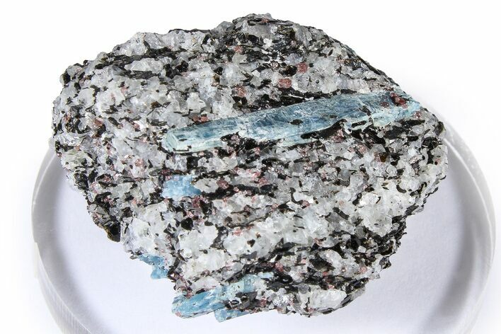 Fluorescent Kyanite & Garnet in Biotite-Quartz Schist - Russia #380695